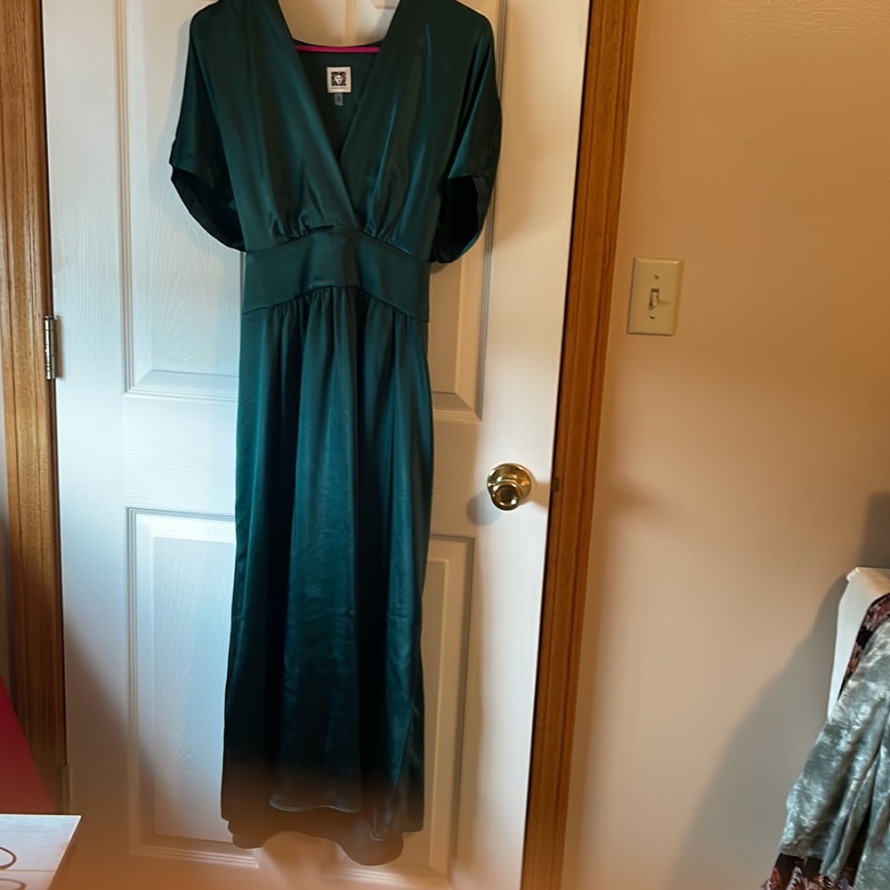 Anne Kline long dress